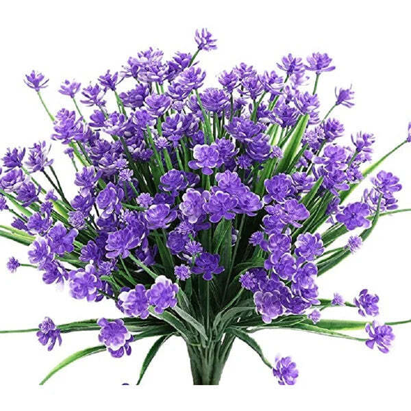 Blue Narcissus