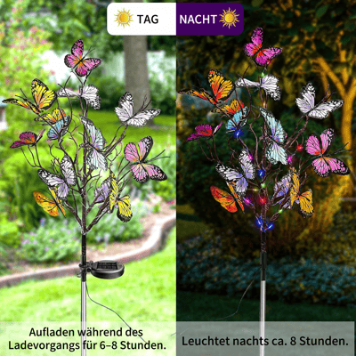 Illuminate Outdoor Beauty